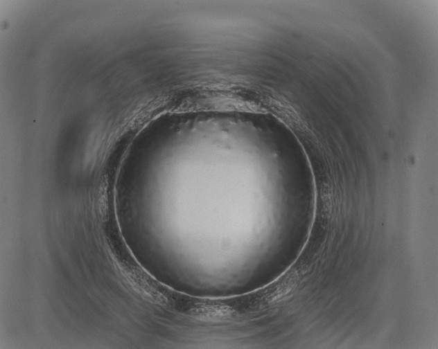 X0000085050642200703121500