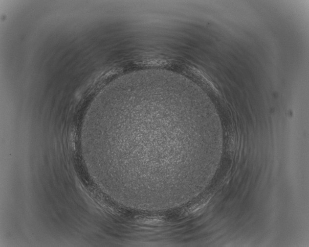 X0000085050643200703121500