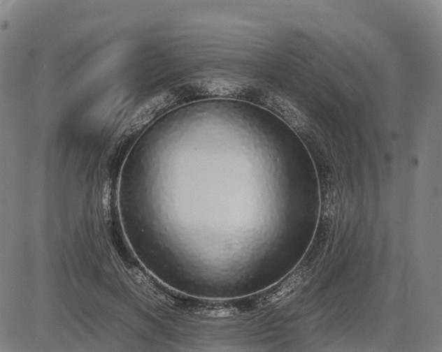 X0000085050646200703121500