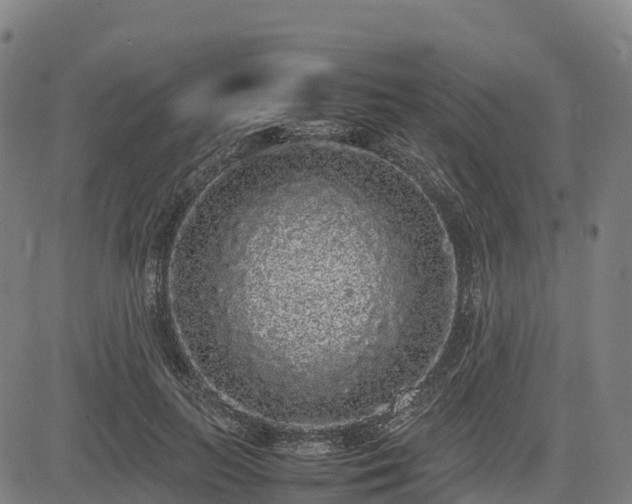 X0000085050647200703121500