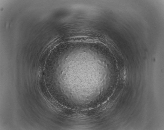 X0000085050648200703121500