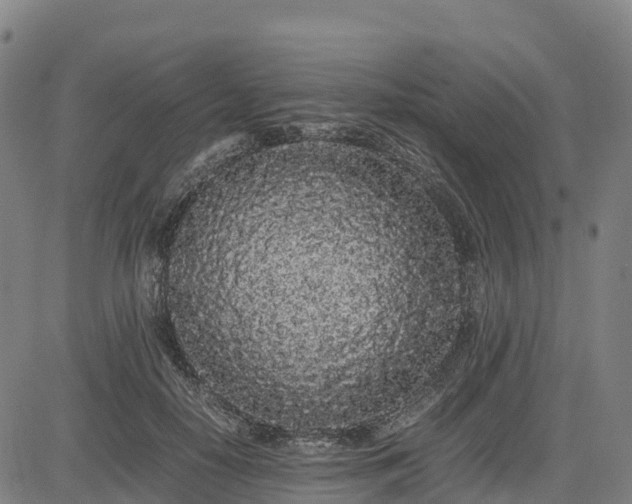 X0000085050650200703121500