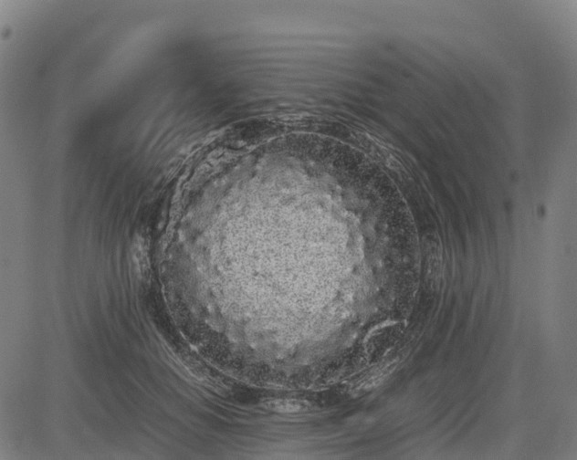 X0000085050654200703121500
