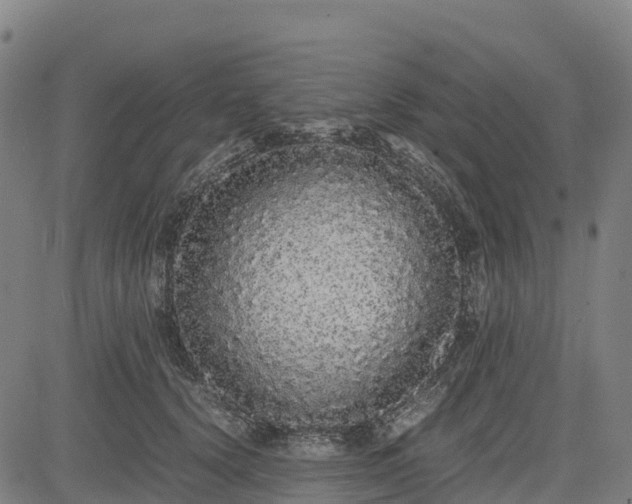 X0000085050656200703121500