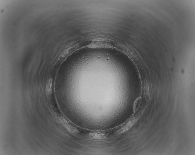 X0000085050660200703121500