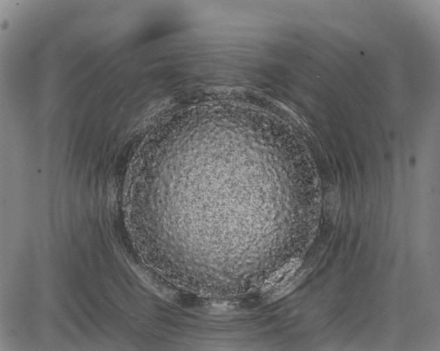 X0000085050662200703121500
