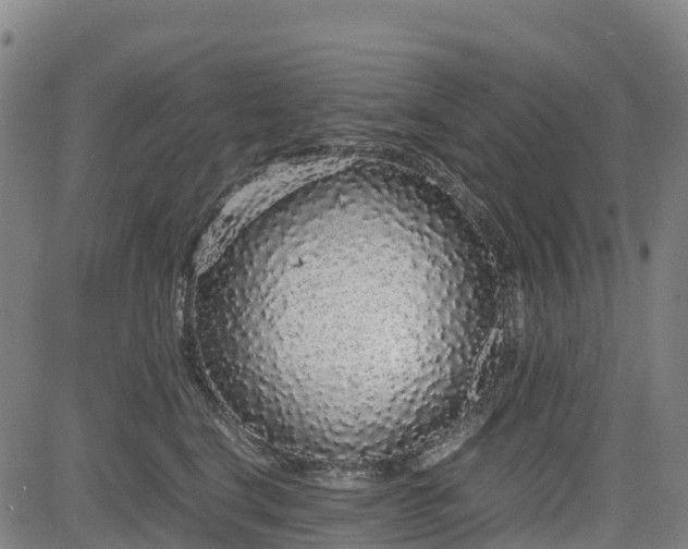 X0000085050664200703121500