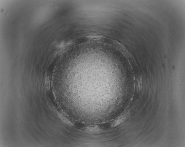 X0000085050666200703121500