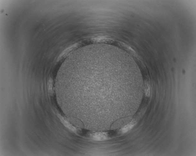 X0000085050670200703121501