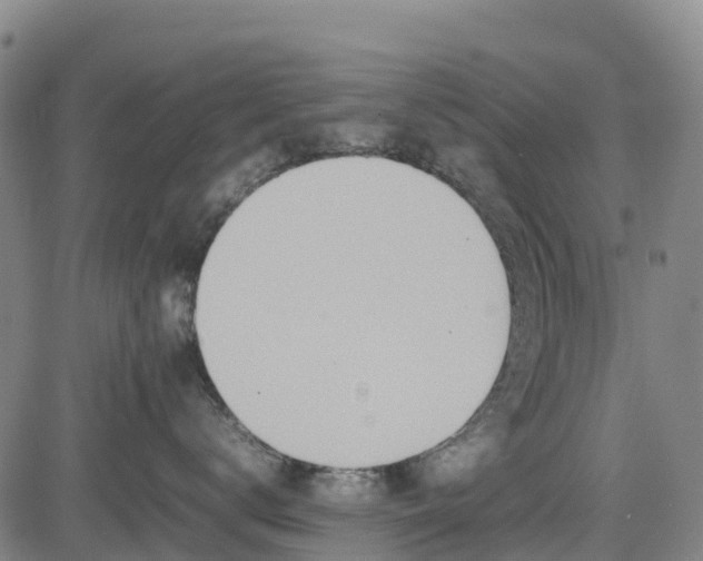 X0000085050672200703121501