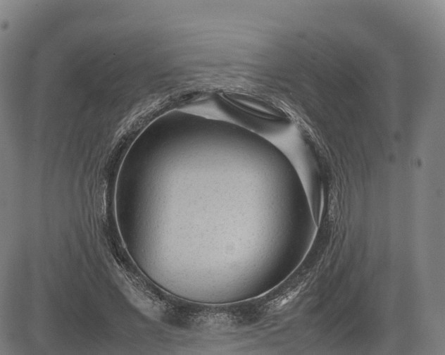 X0000085050685200703121500