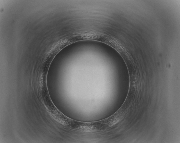 X0000085050690200703121459