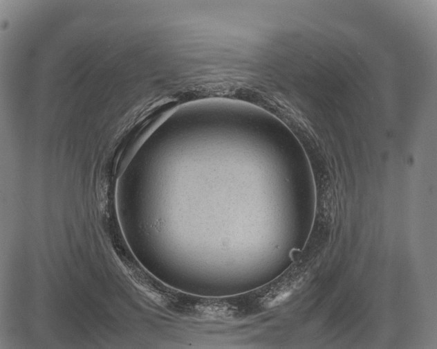 X0000085050693200703121459