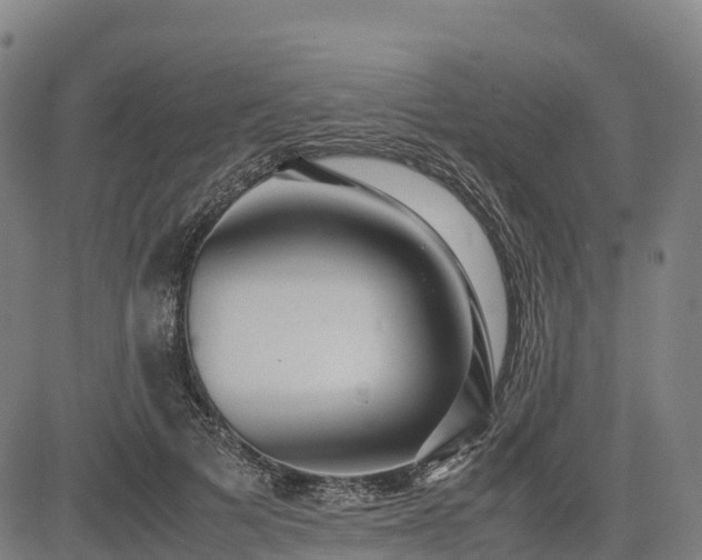 X0000085050697200703121459