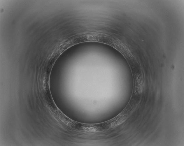 X0000085050698200703121459