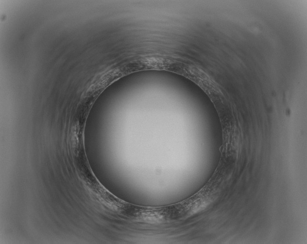X0000085050702200703121459
