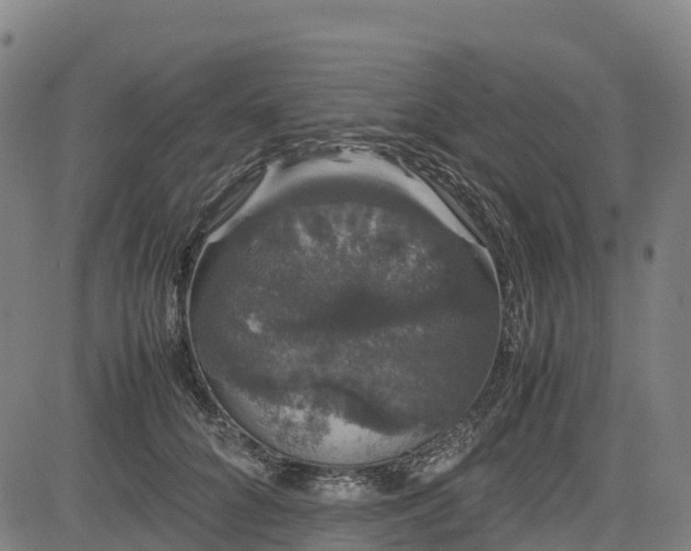 X0000085050704200703121459
