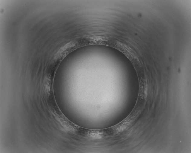 X0000085050710200703121459