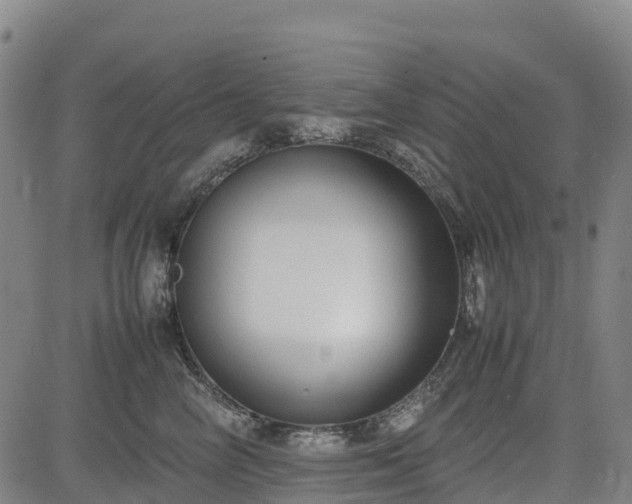 X0000085050714200703121459