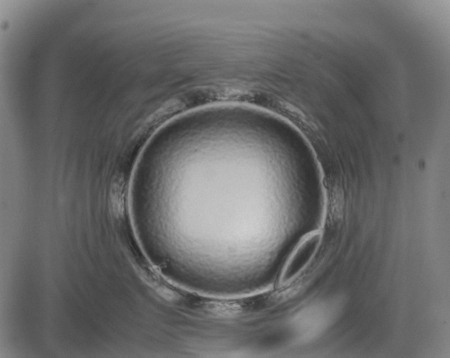 X0000085050719200703121459