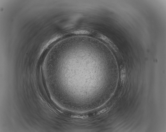 X0000085050727200703121458