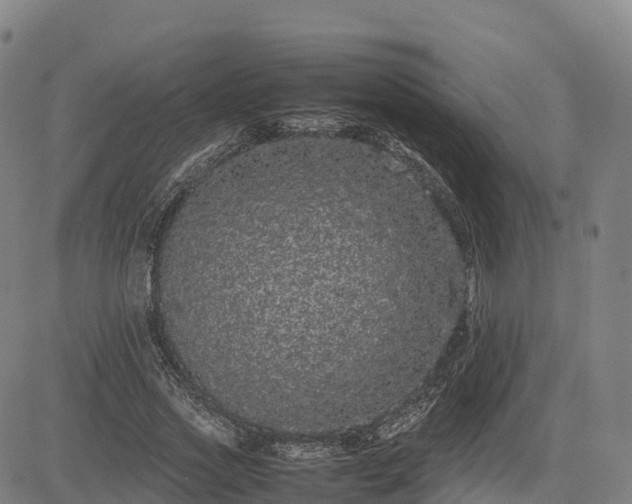 X0000085050733200703121458