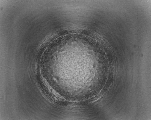 X0000085050742200703121459