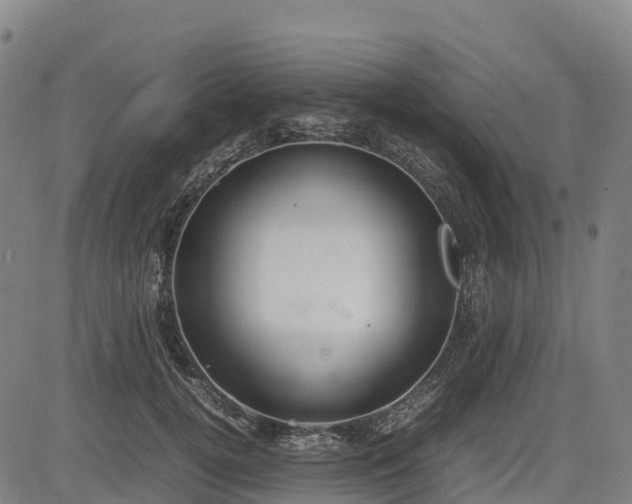X0000085050752200703121459