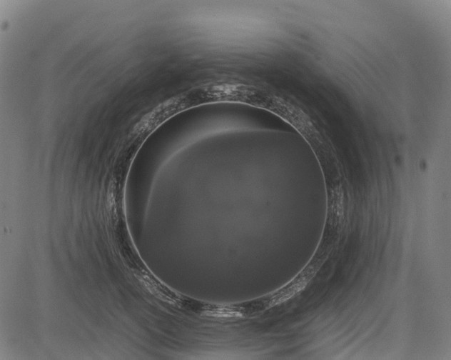 X0000085050754200703121459