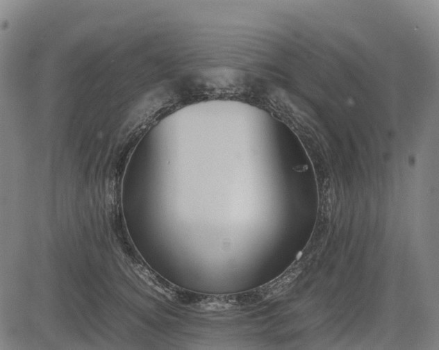 X0000085050756200703121459