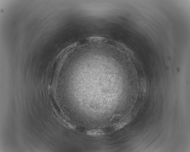 X0000085050761200703121459