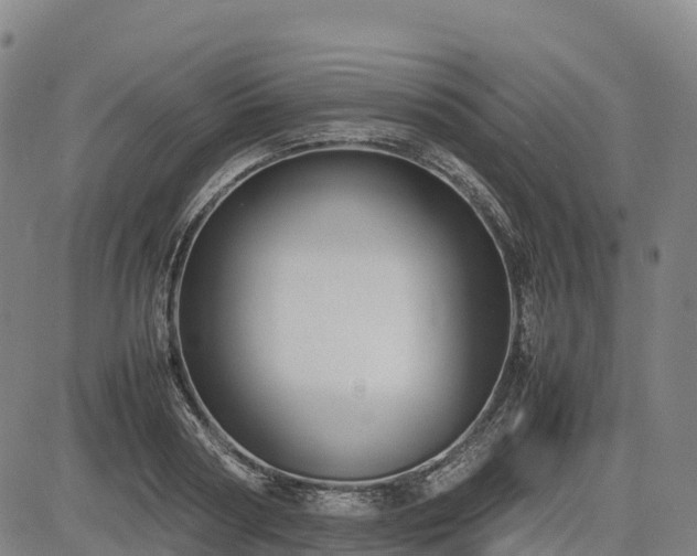 X0000085050794200703121458