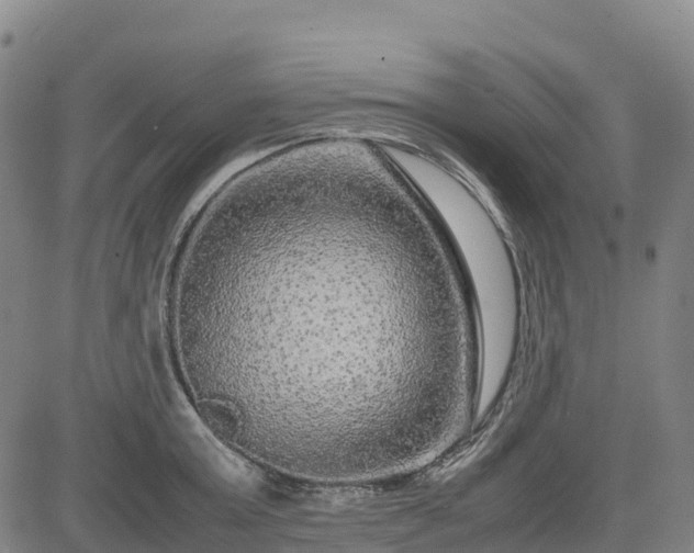 X0000085050803200703121458