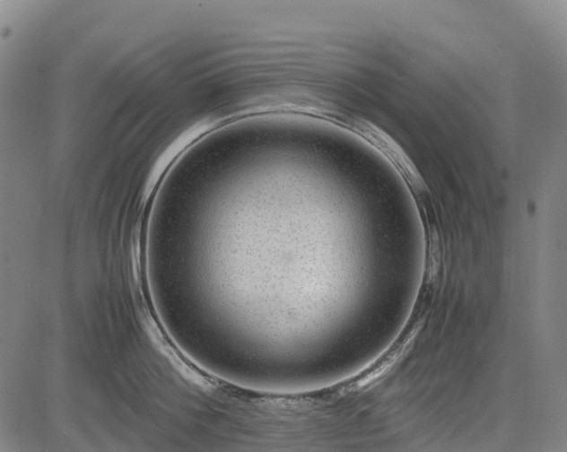 X0000085050812200703121457