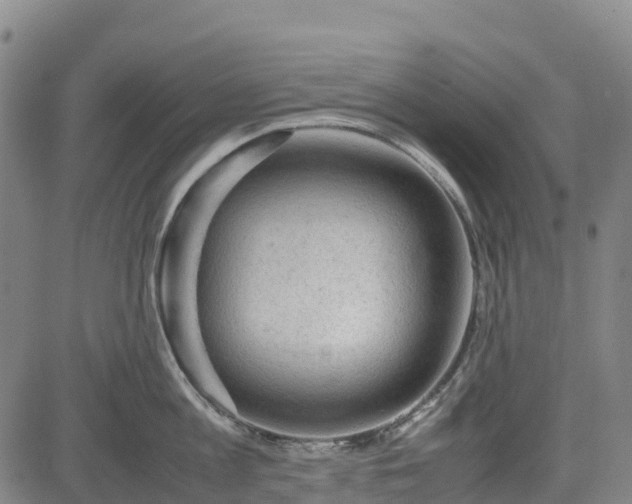 X0000085050813200703121457