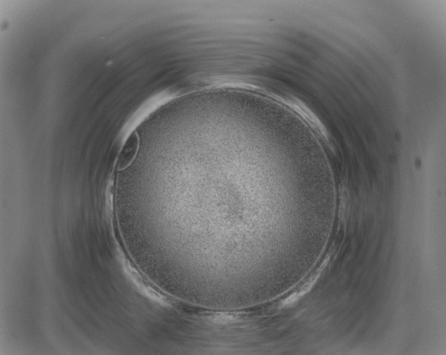 X0000085050814200703121457