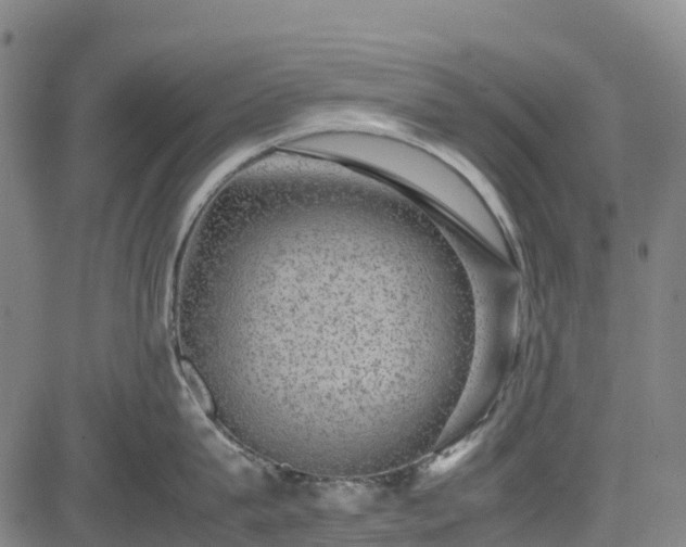 X0000085050815200703121457