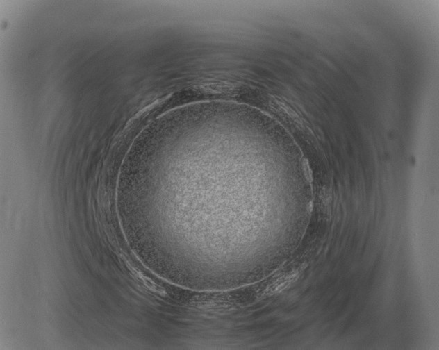 X0000085050817200703121457