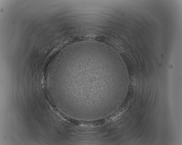 X0000085050818200703121457