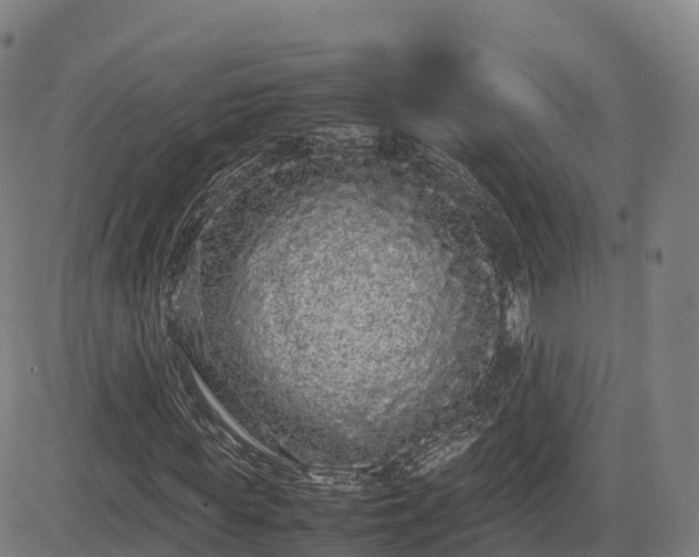 X0000085050819200703121457