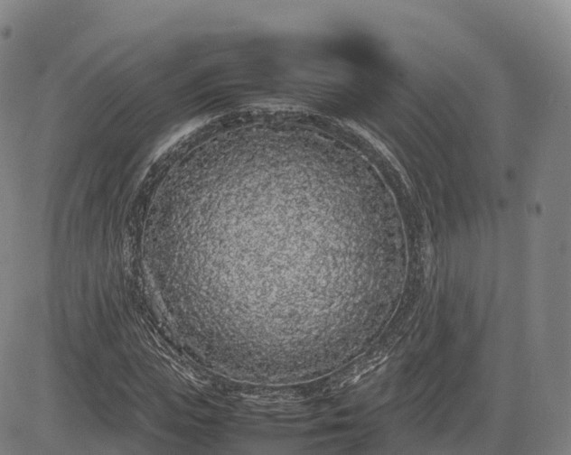 X0000085050823200703121457