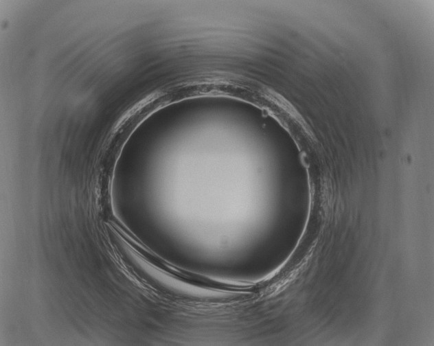 X0000085050826200703121457
