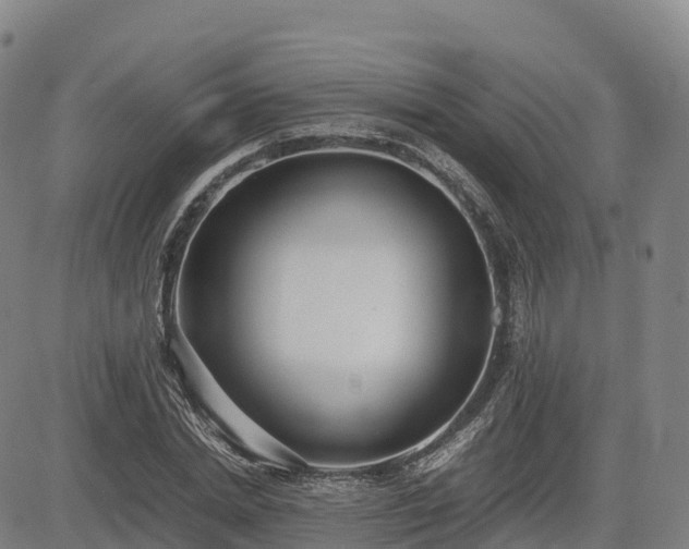 X0000085050830200703121457