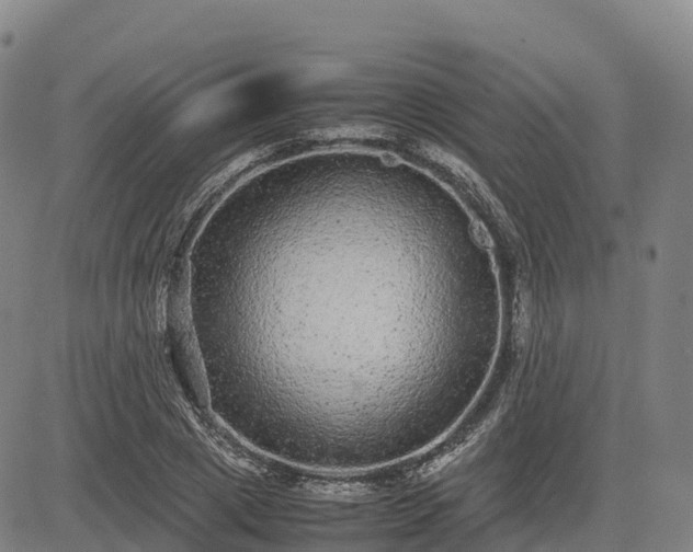 X0000085050833200703121457