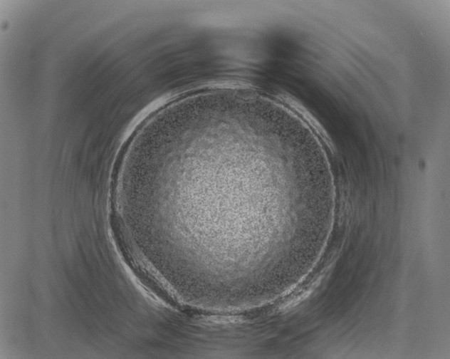 X0000085050853200703121457