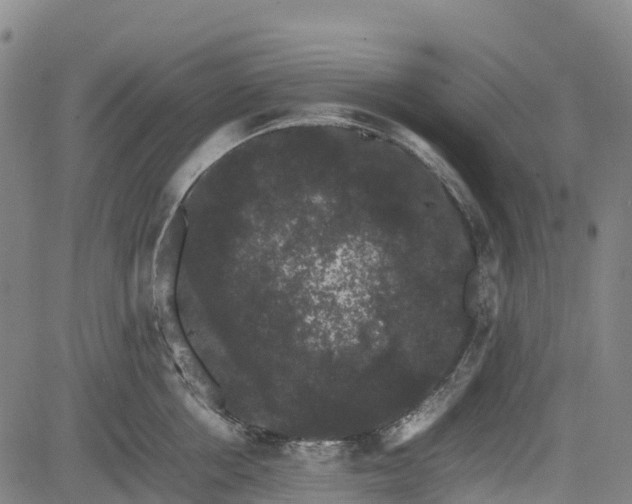 X0000085050858200703121457