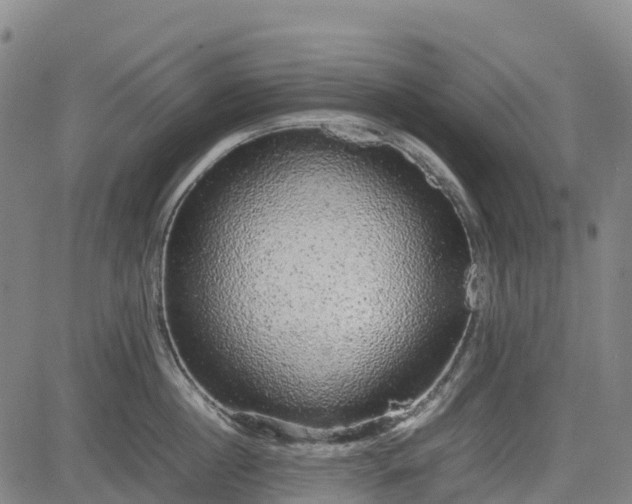 X0000085050860200703121457