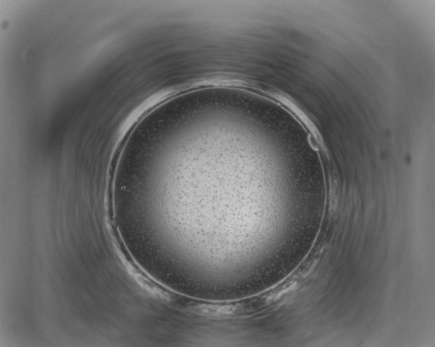 X0000085050861200703121457