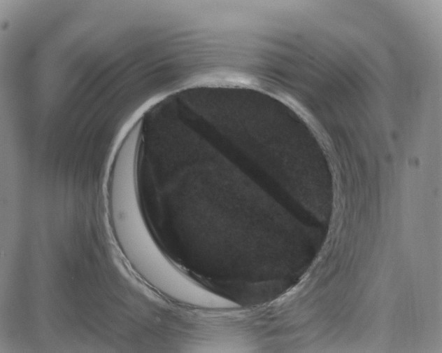X0000085050864200703121457