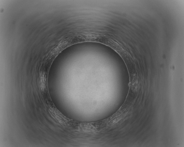 X0000085050866200703121457